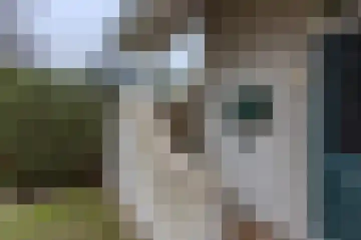 Karperveen 521 Spijkenisse thumbnail 6