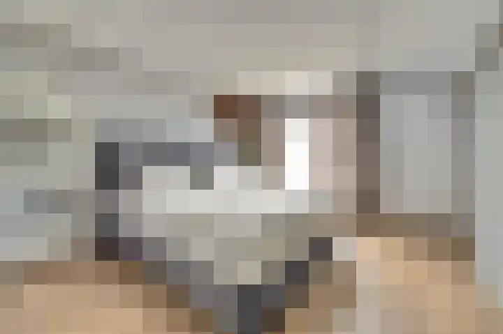 Karperveen 528 Spijkenisse thumbnail 22