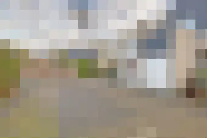 Karperveen 528 Spijkenisse thumbnail 33