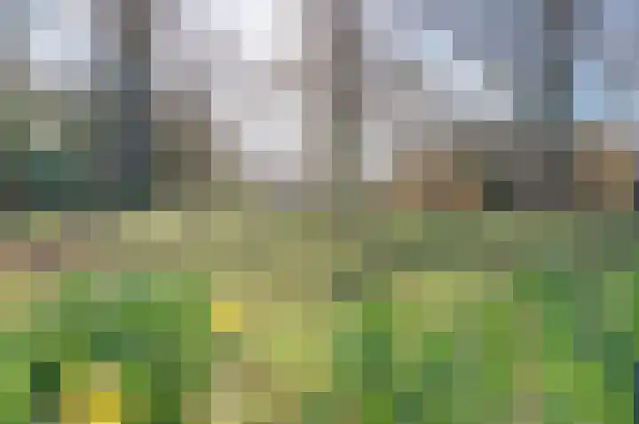 Karperveen 528 Spijkenisse thumbnail 35