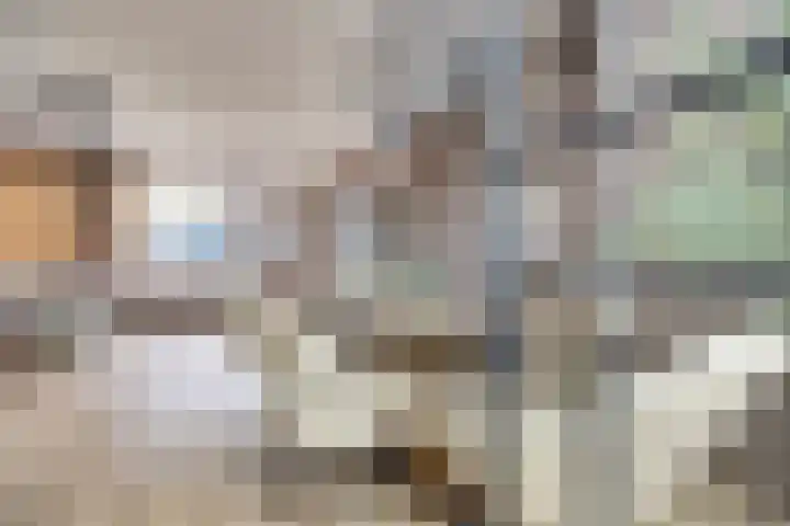 Karperveen 528 Spijkenisse thumbnail 4