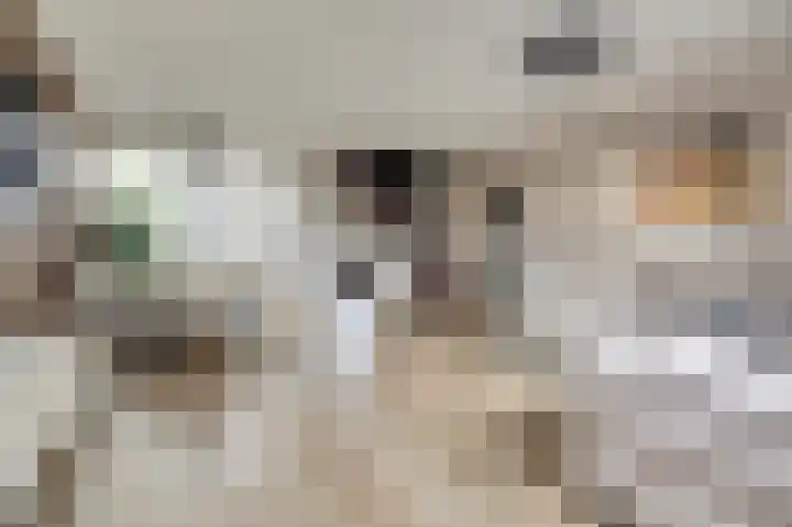 Karperveen 528 Spijkenisse thumbnail 5
