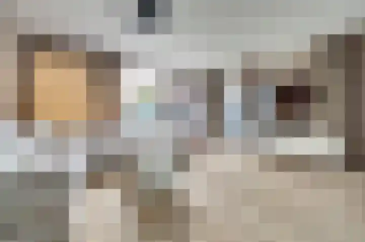 Karperveen 528 Spijkenisse thumbnail 6