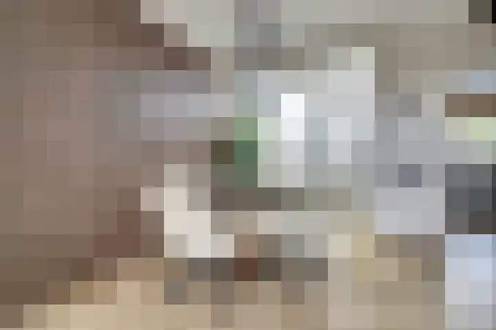 Karperveen 528 Spijkenisse thumbnail 8