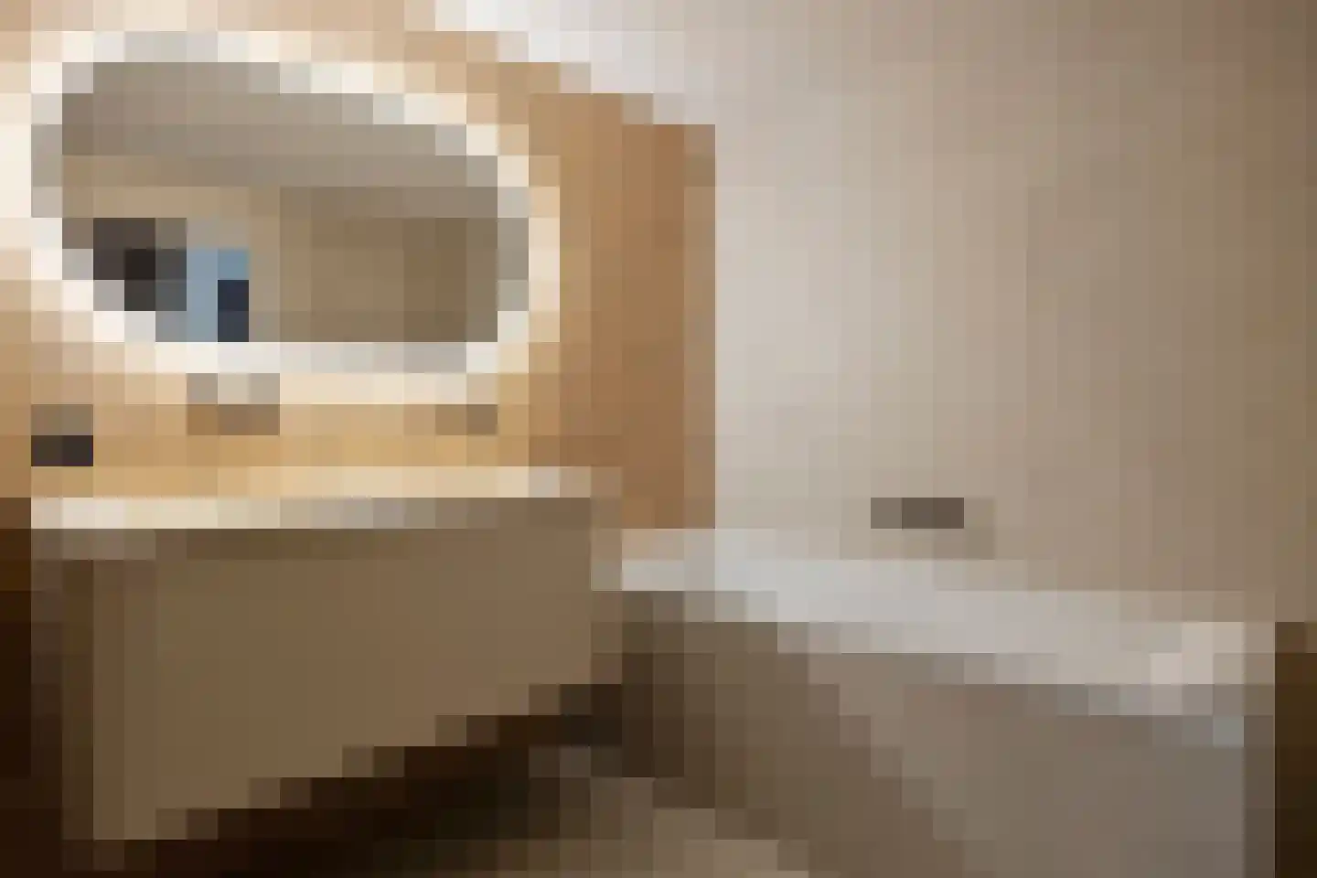 Karperveen 560 Spijkenisse thumbnail 18