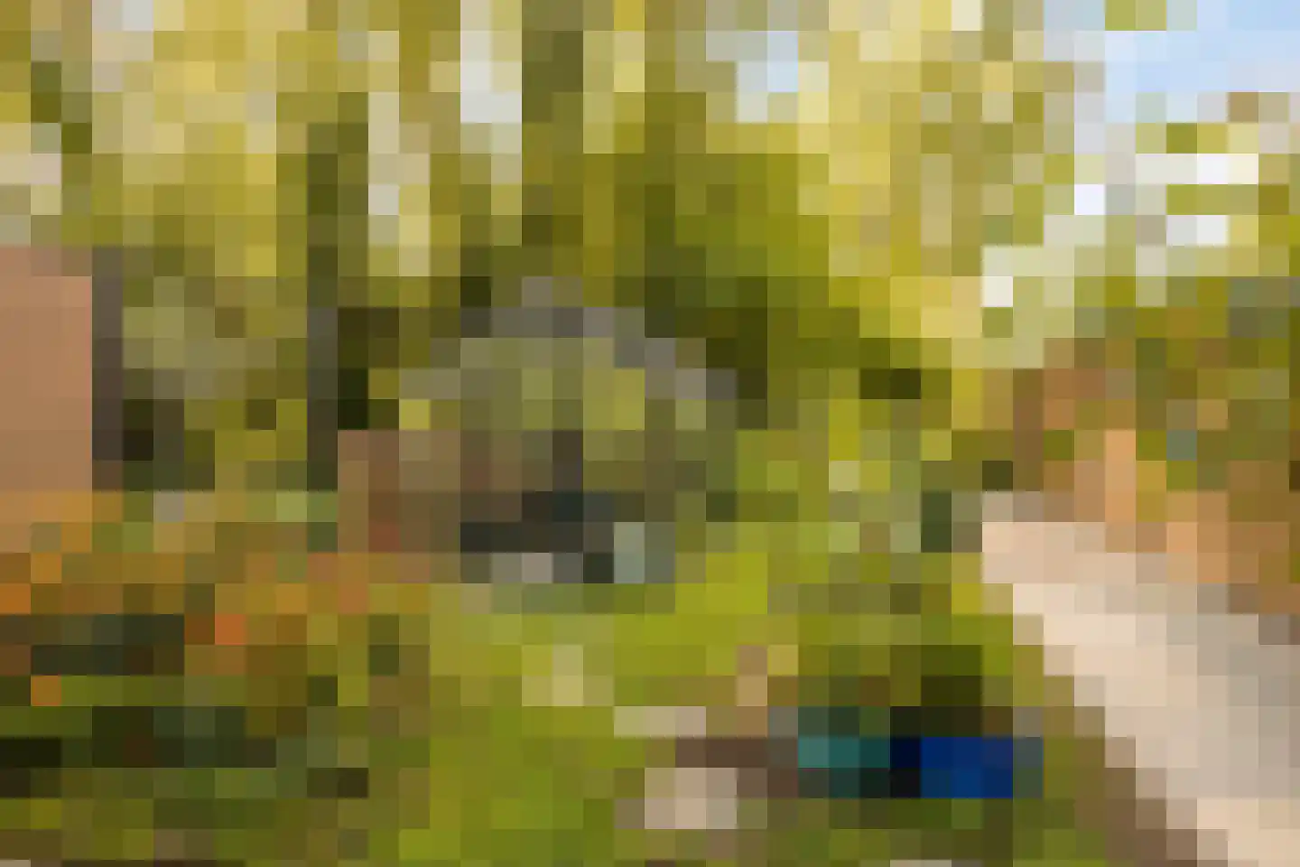 Karperveen 560 Spijkenisse thumbnail 27