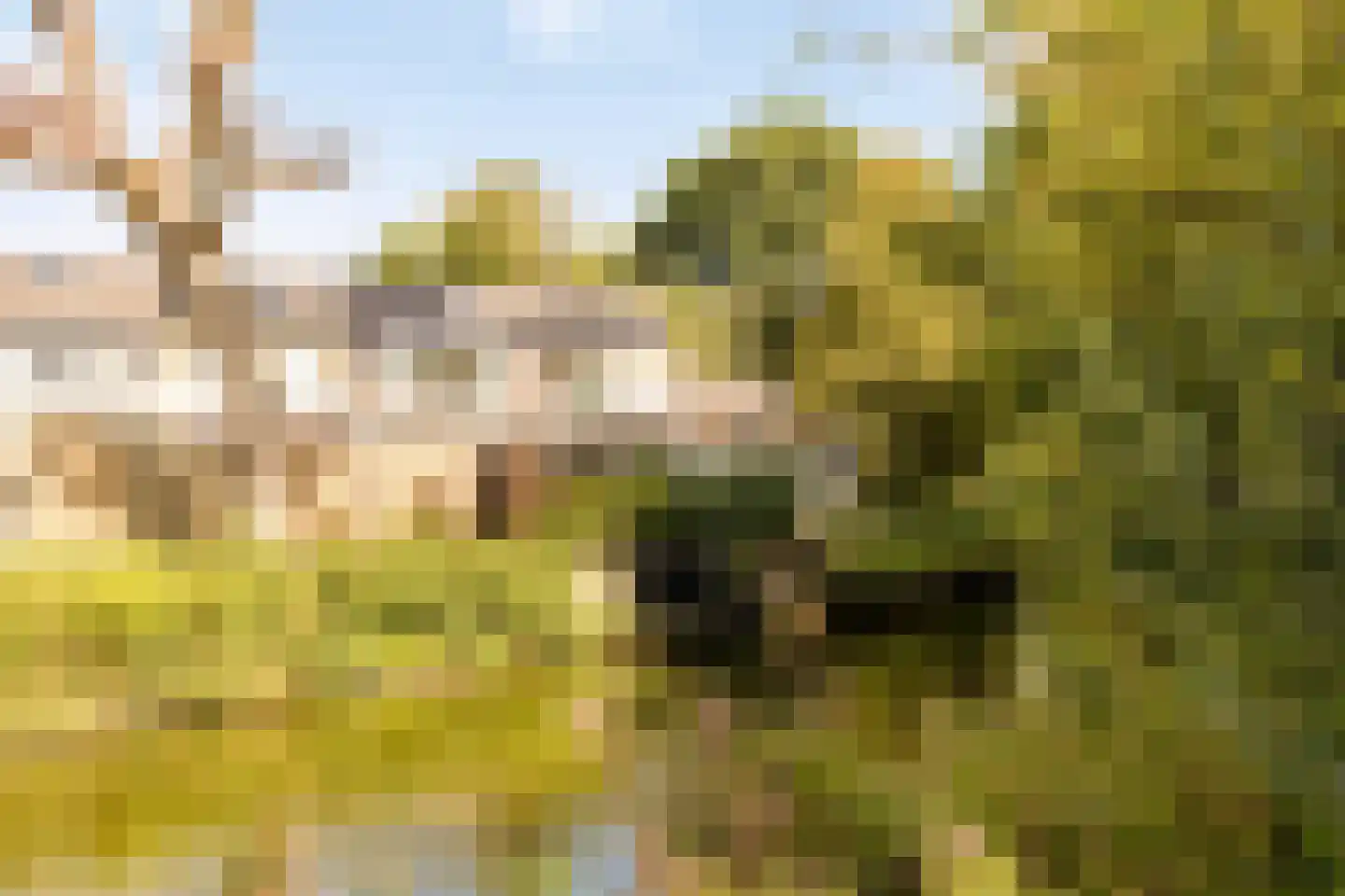 Karperveen 560 Spijkenisse thumbnail 31