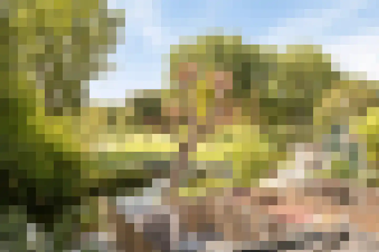 Karperveen 560 Spijkenisse thumbnail 32
