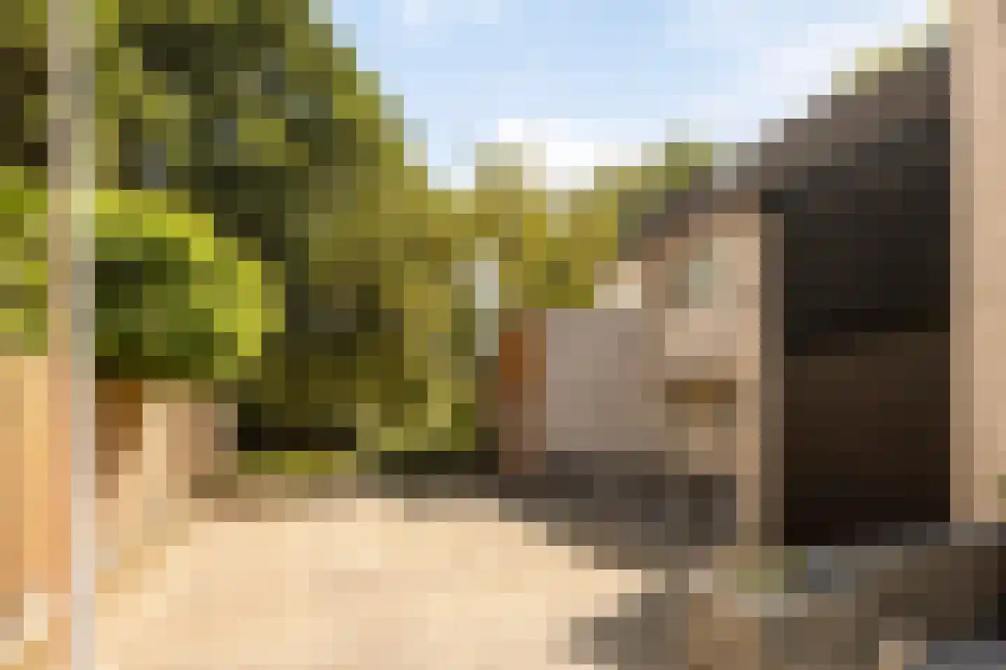 Karperveen 560 Spijkenisse thumbnail 37