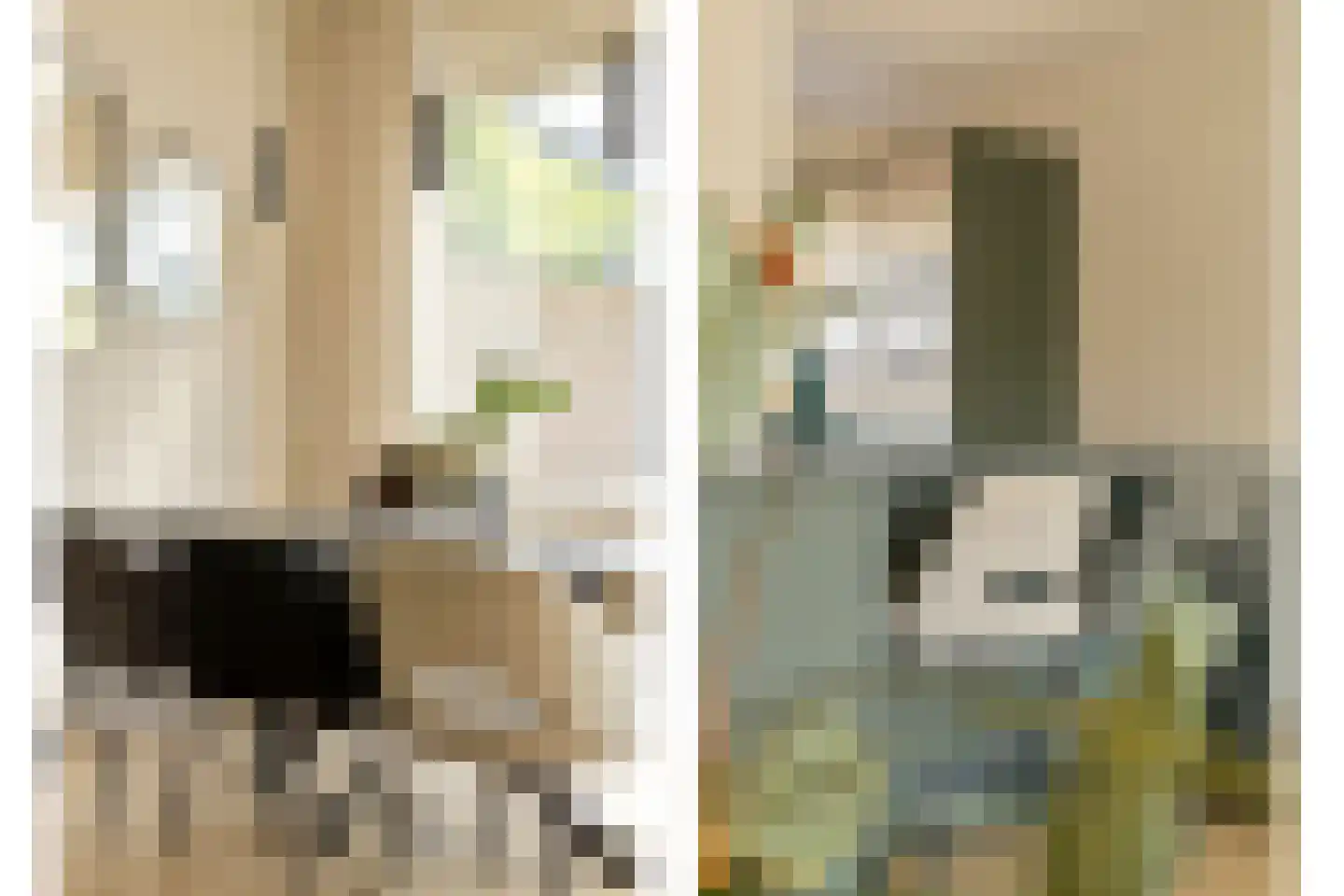 Karperveen 560 Spijkenisse thumbnail 8