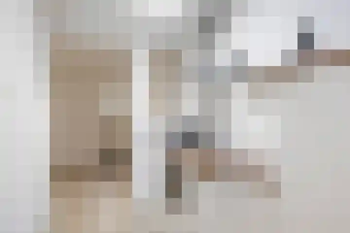 Karpervijver 10 F Zeist thumbnail 10