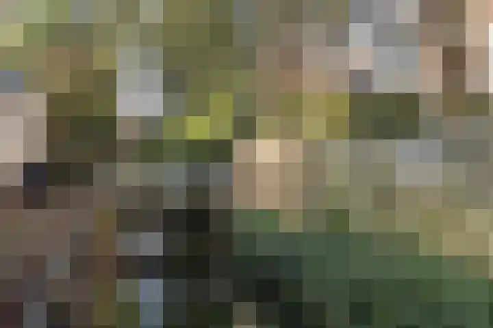 Karpervijver 10 F Zeist thumbnail 15