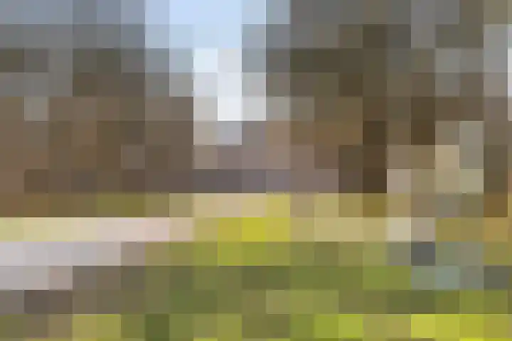 Karpervijver 10 F Zeist thumbnail 16