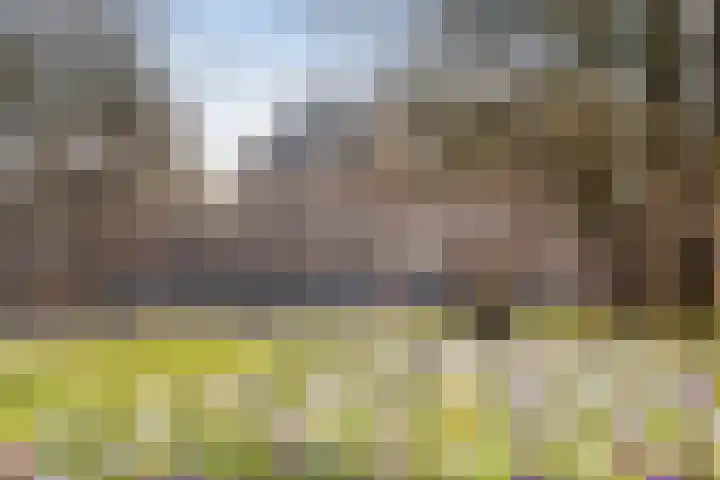Karpervijver 10 F Zeist thumbnail 17