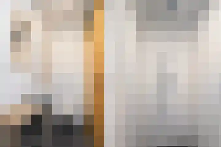 Karpervijver 10 F Zeist thumbnail 5