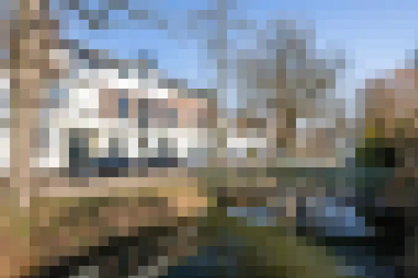 Karpervijver 8 Zeist foto 2