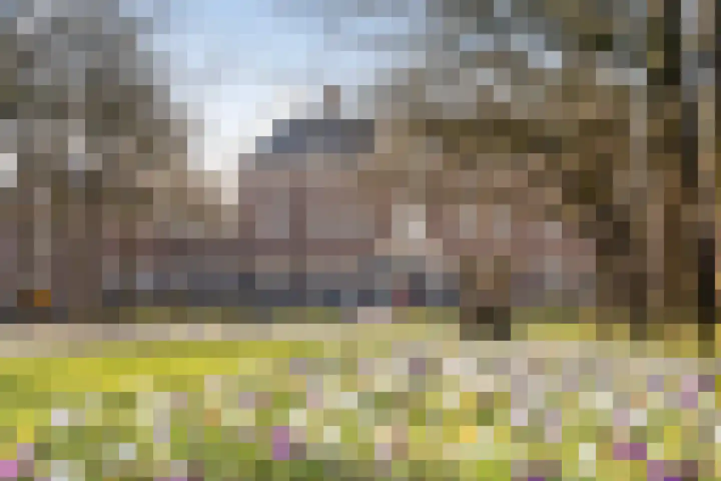 Karpervijver 8 Zeist thumbnail 22