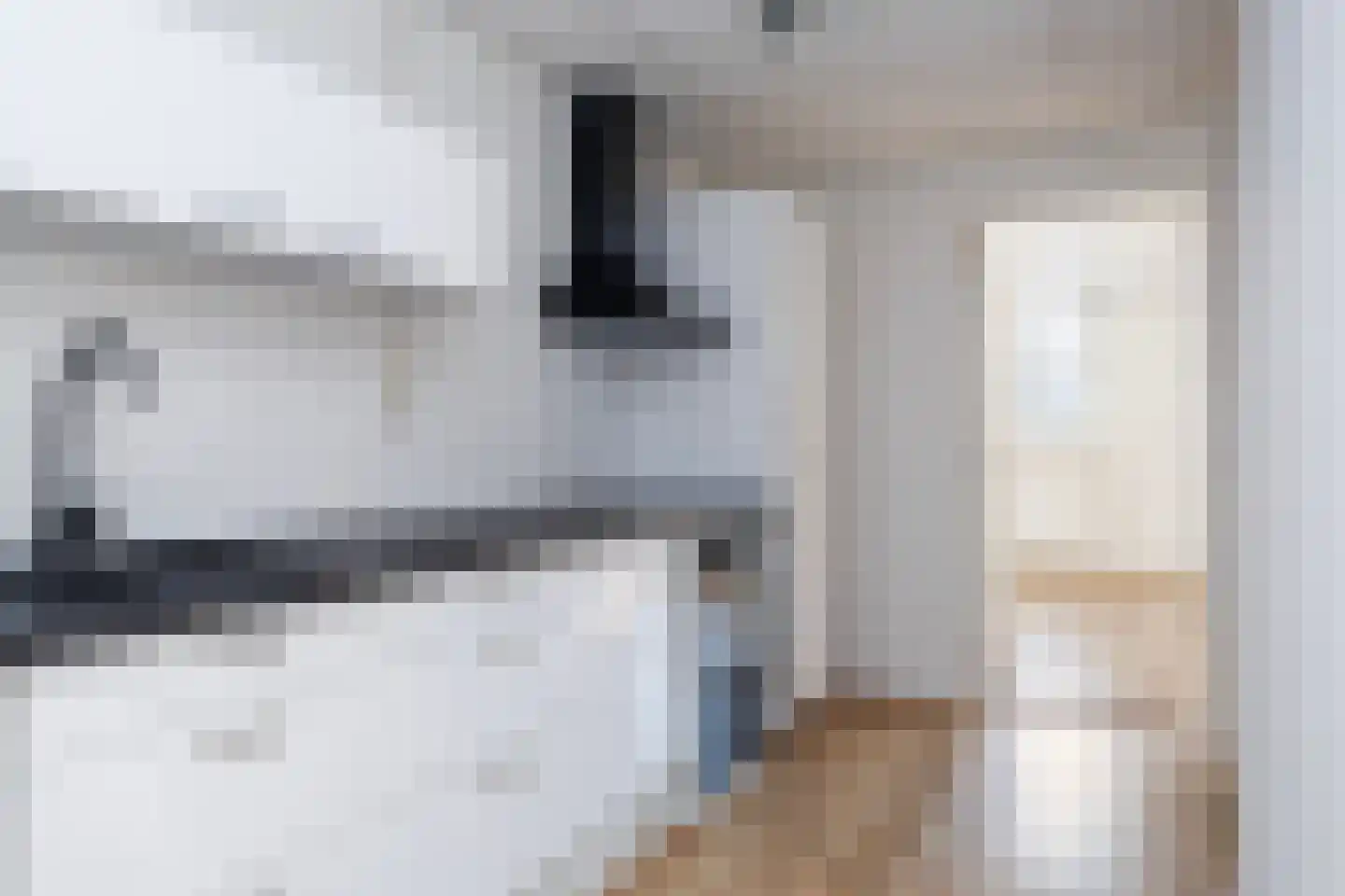 Karpervijver 8 Zeist thumbnail 4