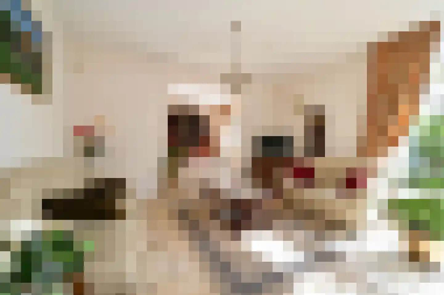 Karperweg 11 Eemnes thumbnail 11