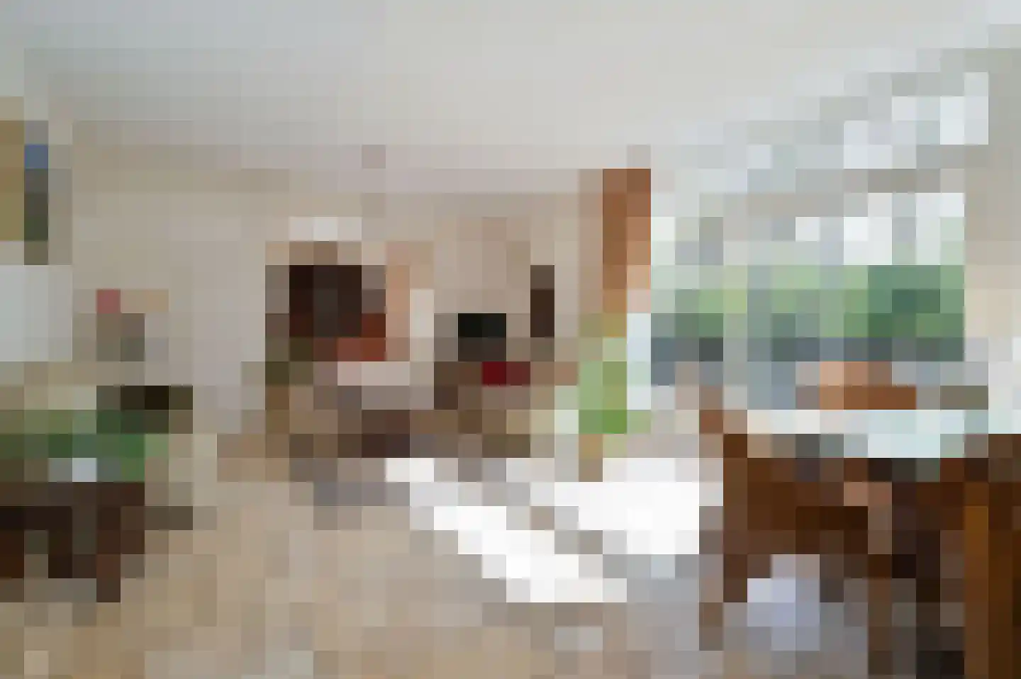 Karperweg 11 Eemnes thumbnail 13