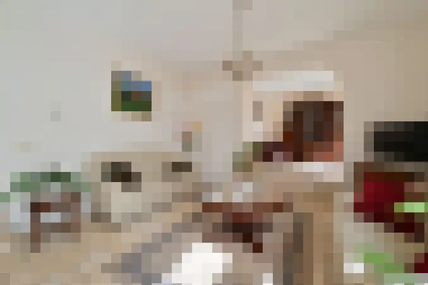 Karperweg 11 Eemnes thumbnail 14