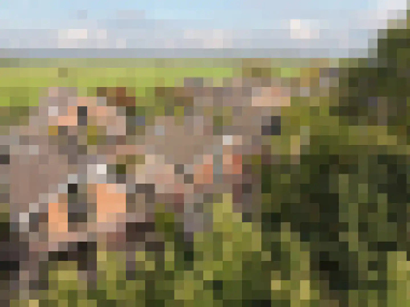 Karperweg 11 Eemnes thumbnail 30