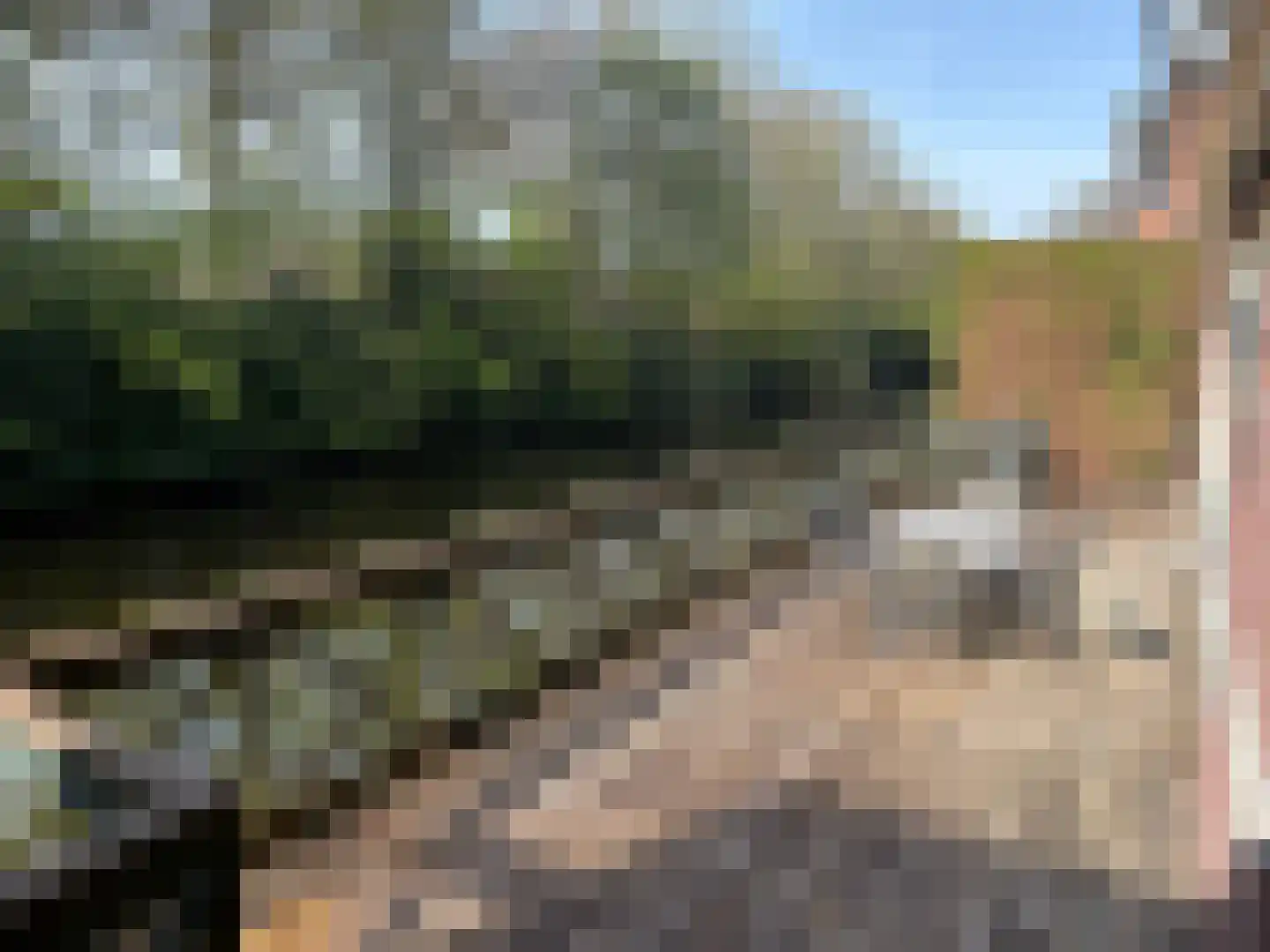 Karperweg 11 Eemnes thumbnail 34