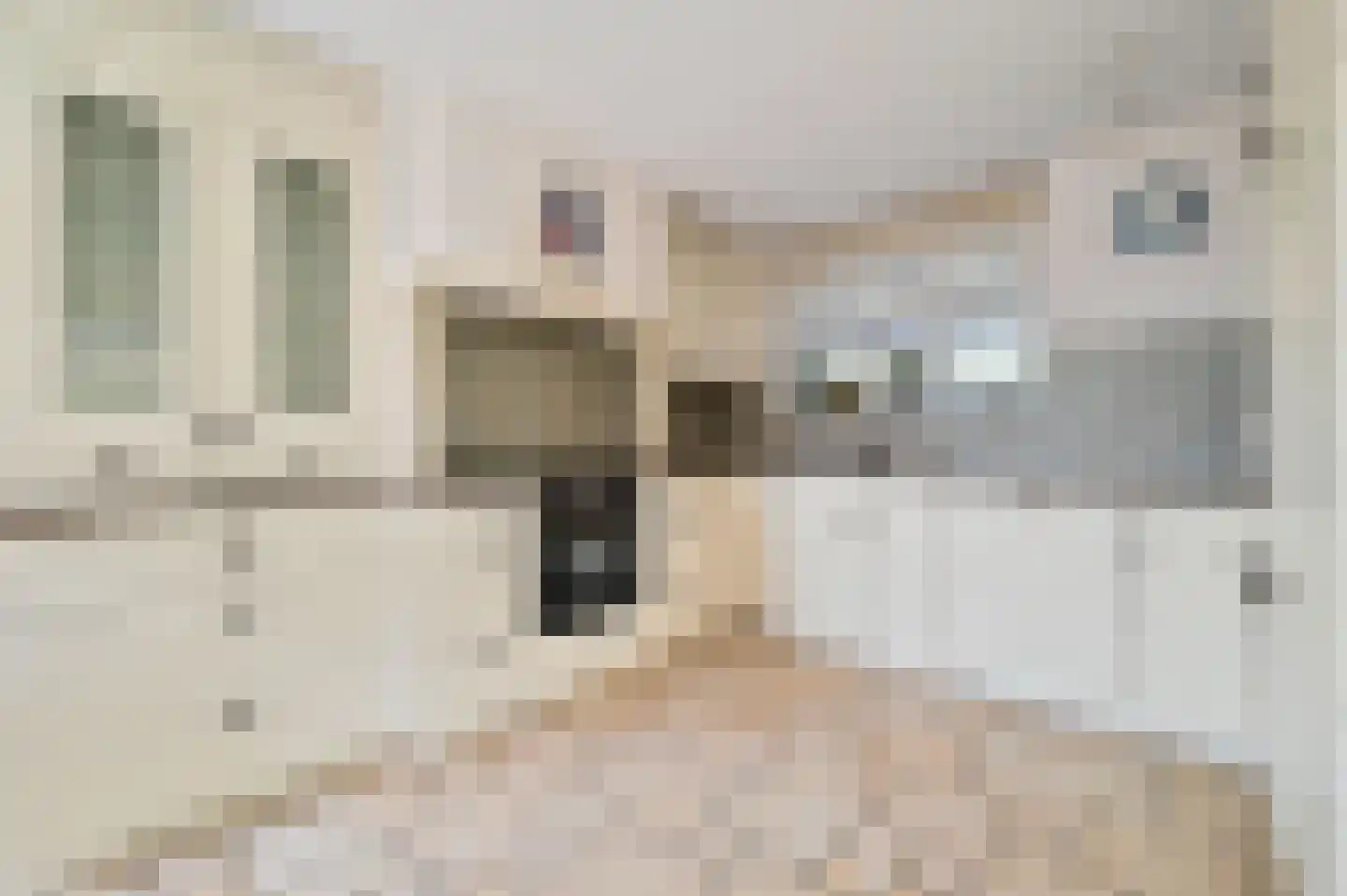 Karperweg 11 Eemnes thumbnail 5