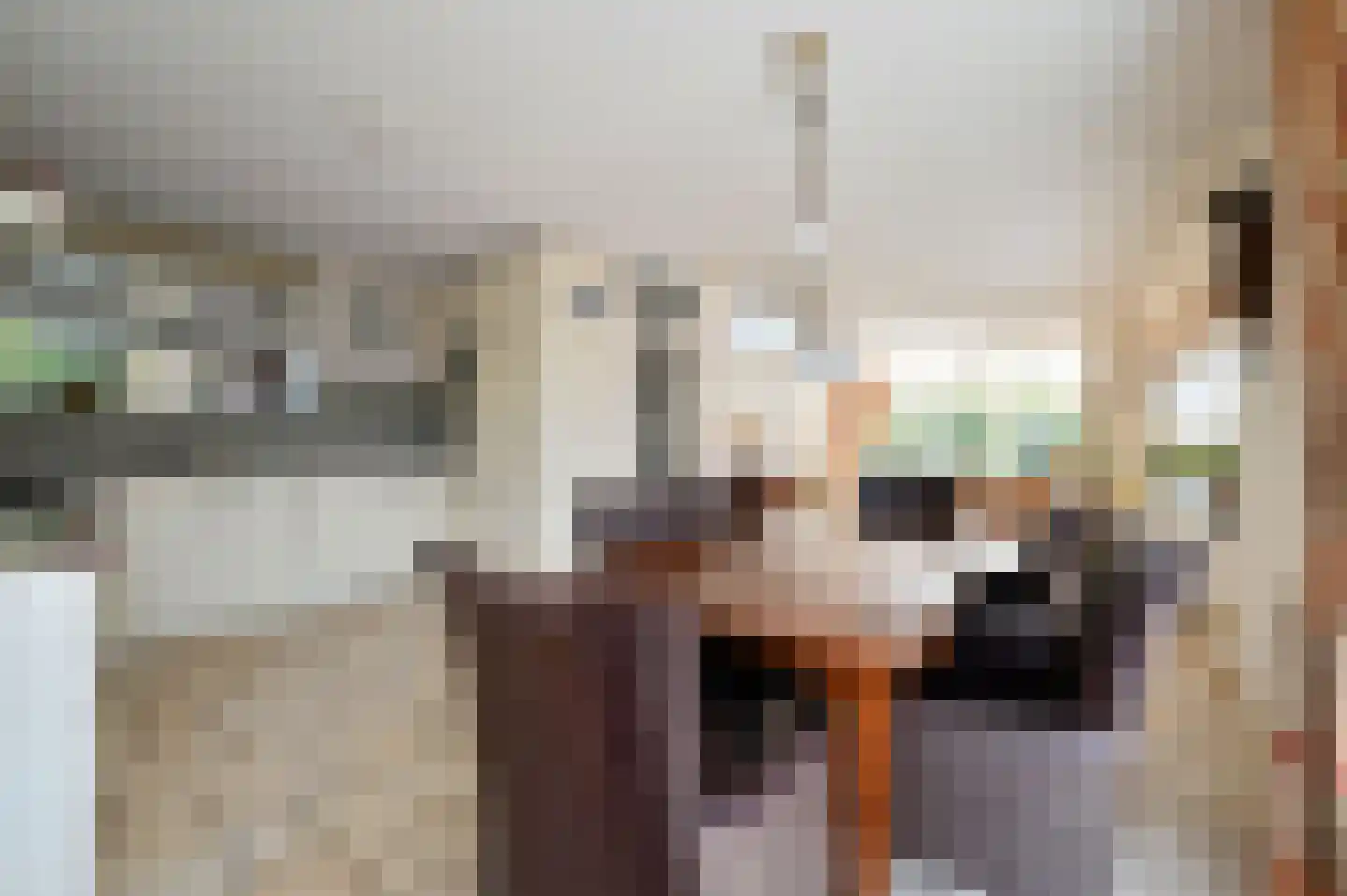 Karperweg 11 Eemnes thumbnail 7