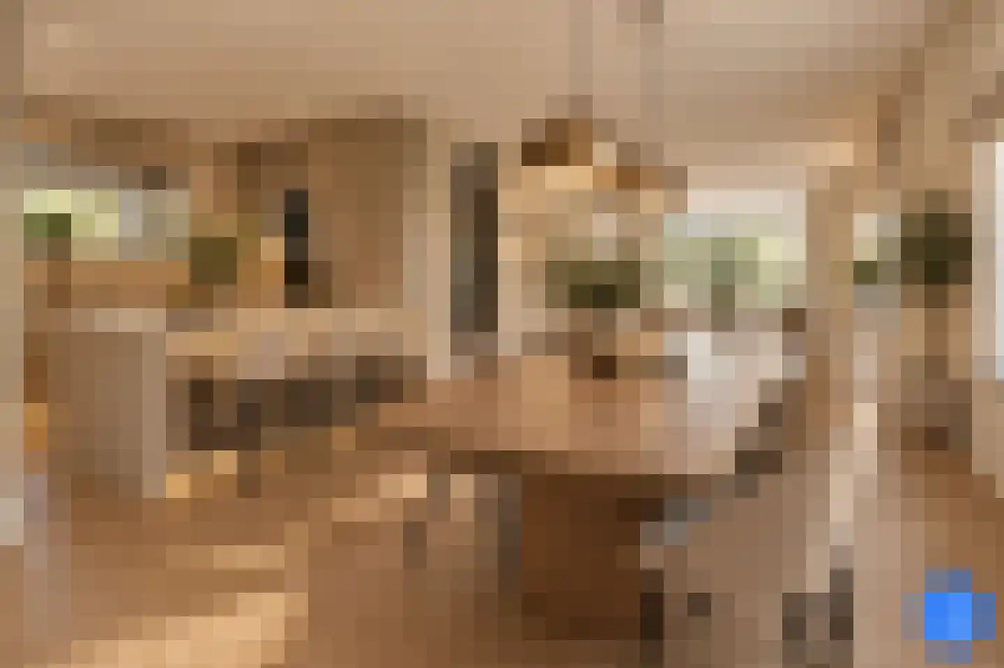 Karperweg 11 Eemnes thumbnail 7