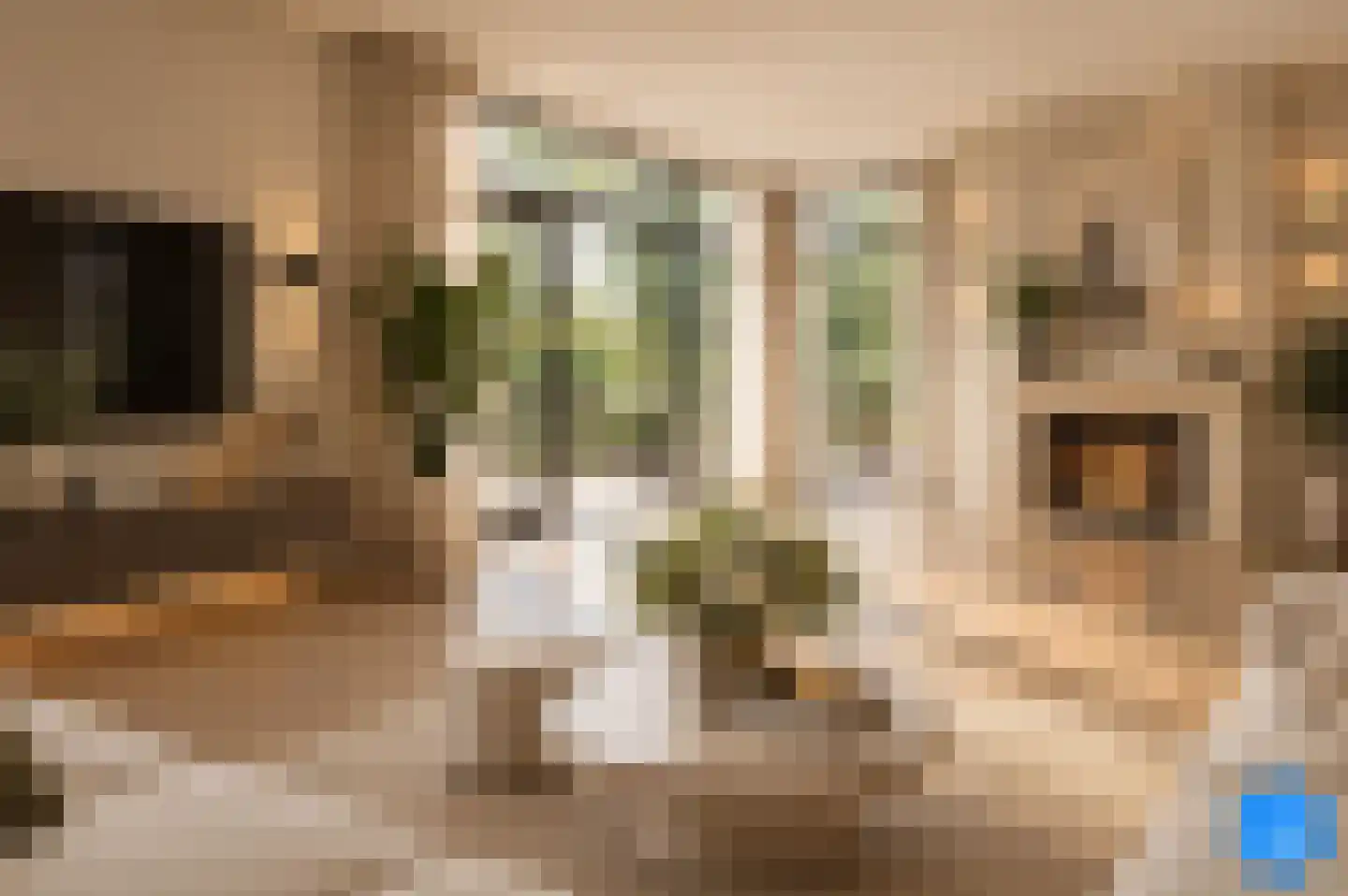 Karperweg 11 Eemnes thumbnail 8