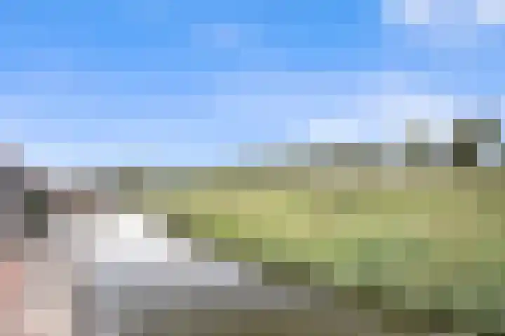 Karremansweidjes 9 Goes thumbnail 10