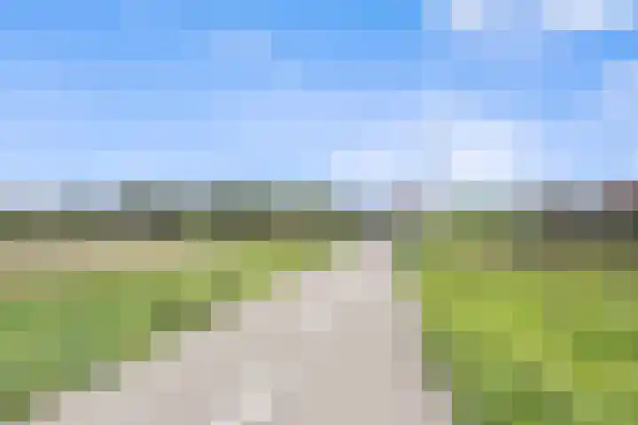 Karremansweidjes 9 Goes thumbnail 11