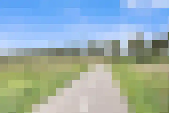 Karremansweidjes 9 Goes thumbnail 12