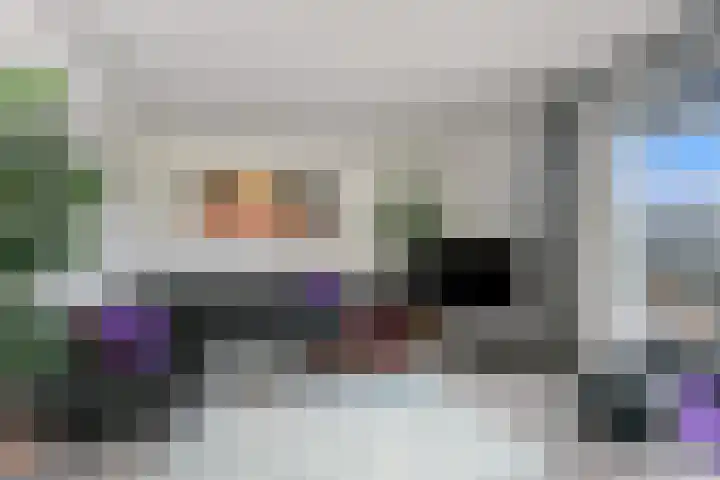 Karremansweidjes 9 Goes thumbnail 14