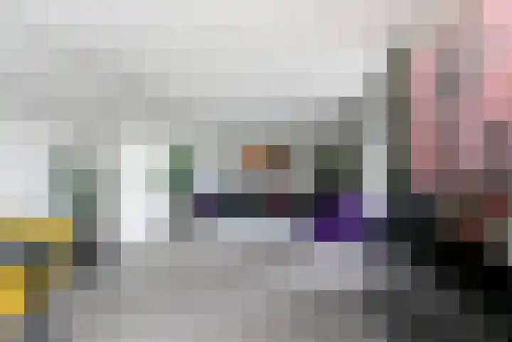 Karremansweidjes 9 Goes thumbnail 15