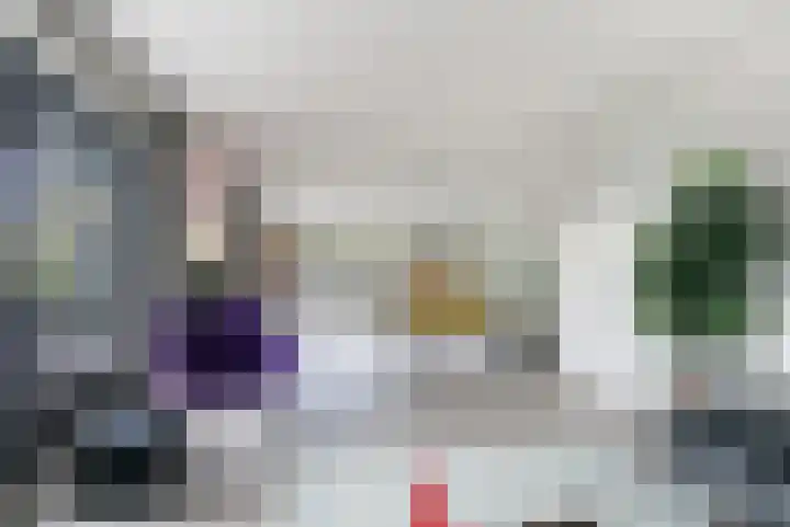 Karremansweidjes 9 Goes thumbnail 16