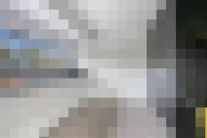 Karremansweidjes 9 Goes thumbnail 20