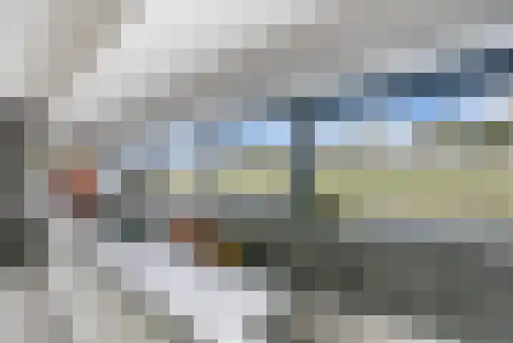 Karremansweidjes 9 Goes thumbnail 21