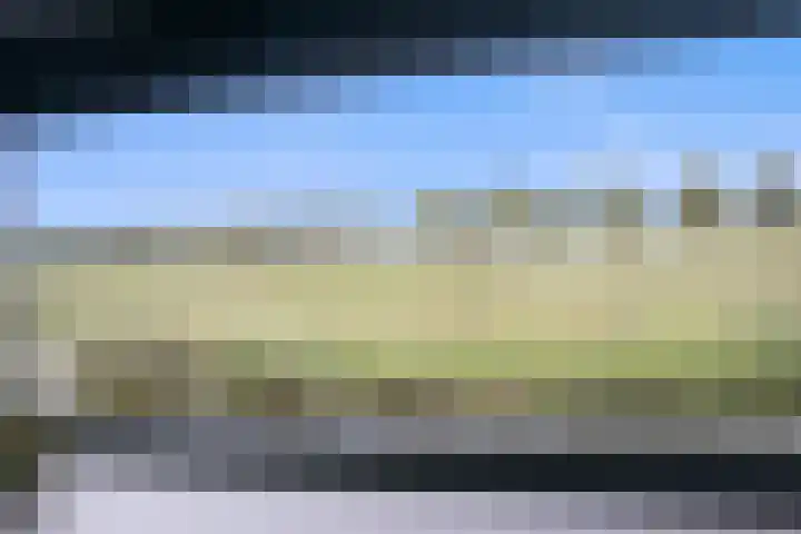 Karremansweidjes 9 Goes thumbnail 22