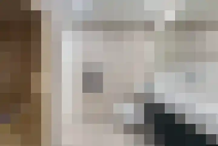 Karremansweidjes 9 Goes thumbnail 24