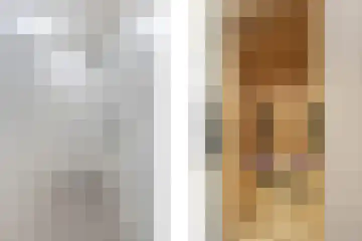 Karremansweidjes 9 Goes thumbnail 25