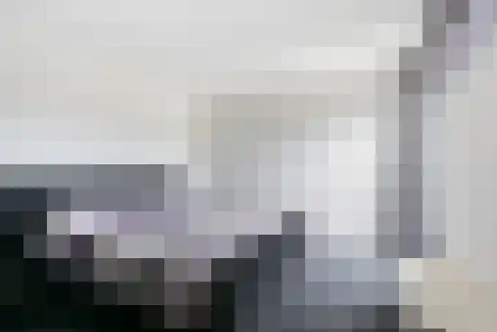 Karremansweidjes 9 Goes thumbnail 27