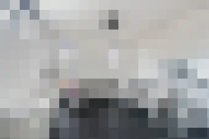 Karremansweidjes 9 Goes thumbnail 29