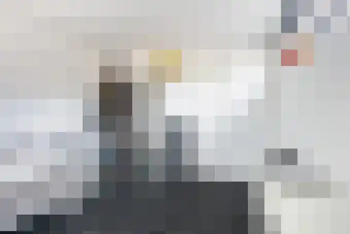 Karremansweidjes 9 Goes thumbnail 30
