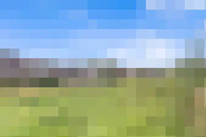 Karremansweidjes 9 Goes thumbnail 4
