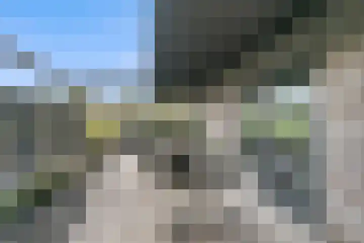Karremansweidjes 9 Goes thumbnail 6