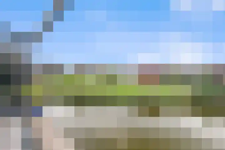 Karremansweidjes 9 Goes thumbnail 8