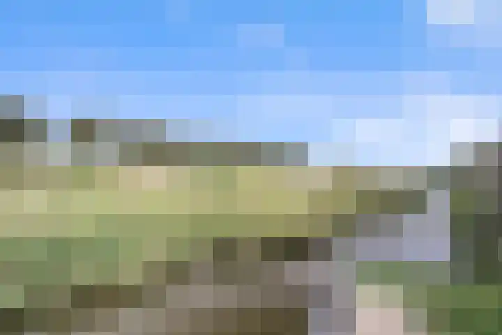 Karremansweidjes 9 Goes thumbnail 9