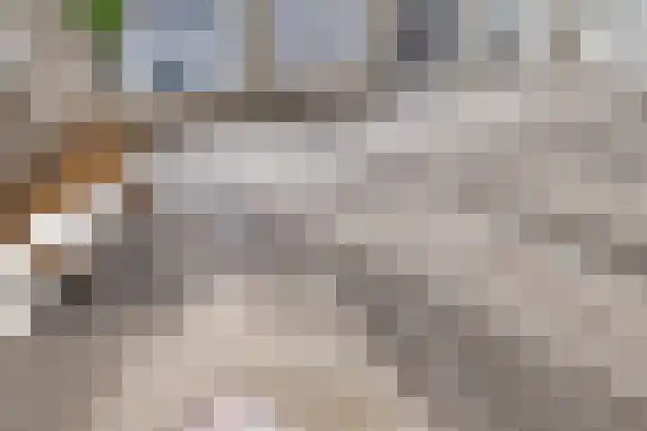 Karrengas 48 D Nijmegen thumbnail 8